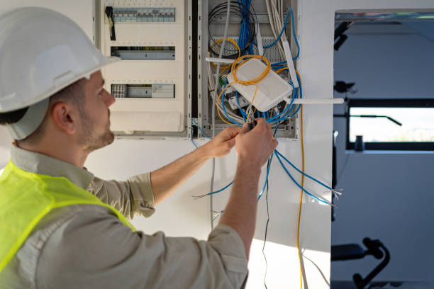 Best Electric Panel Repair  in Minonk, IL